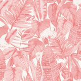Tempaper Paradise Palm Tropical Pink Peel and Stick Wallpaper, 28 sq. ft.
