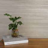 DecoratorsBest Grasscloth Sisal Light Taupe Handwoven Wallpaper, 72 sq. ft.