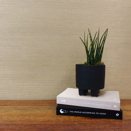 DecoratorsBest Grasscloth Sisal Tan Handwoven Wallpaper, 72 sq. ft.