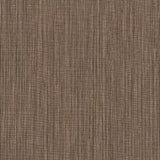 York Paprika Paloma Texture Orange Wallpaper