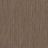 York Paprika Paloma Texture Orange Wallpaper