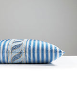 Scalamandre Paisley/Shirred Stripe 22 X 22 - Fountain / Blue Opal Decorative Pillow