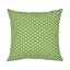 Schumacher Green 16" x 16" Queen B I/O Pillow