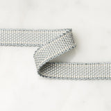 Schumacher Mineral Frances Silk Gimp