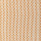 Lee Jofa KAYA II SPICE Fabric