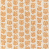 Lee Jofa KAYA II SPICE Fabric