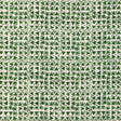 Lee Jofa YAMPA PRINT FERN Fabric