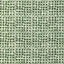 Lee Jofa YAMPA PRINT FERN Fabric