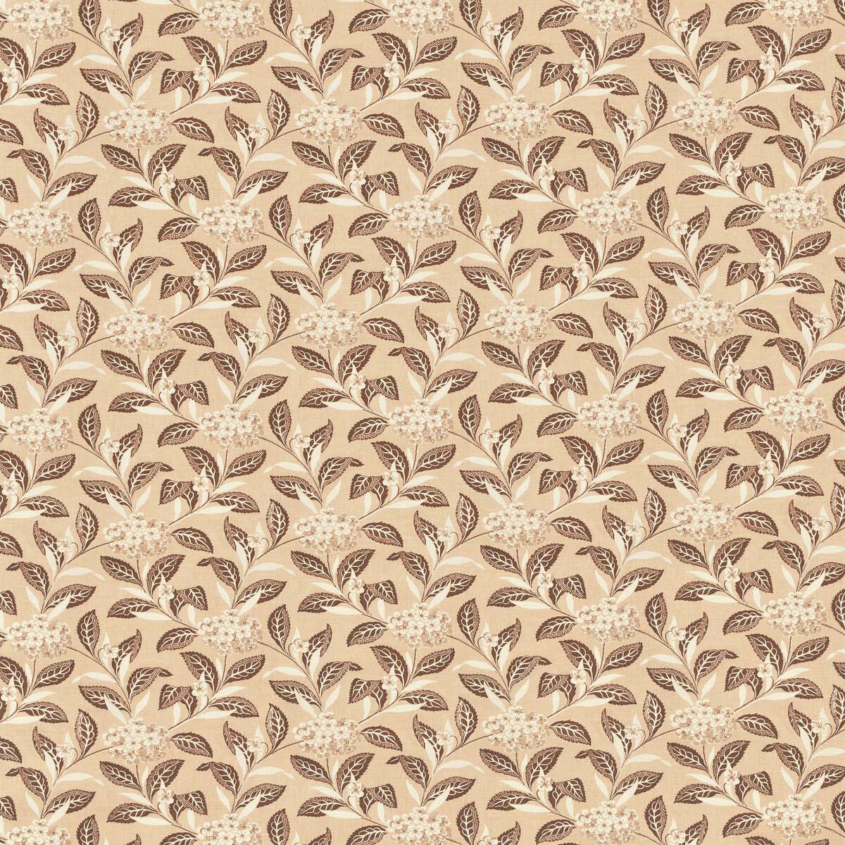 Lee Jofa ORTENSIA BROWN ON BLUSH Fabric