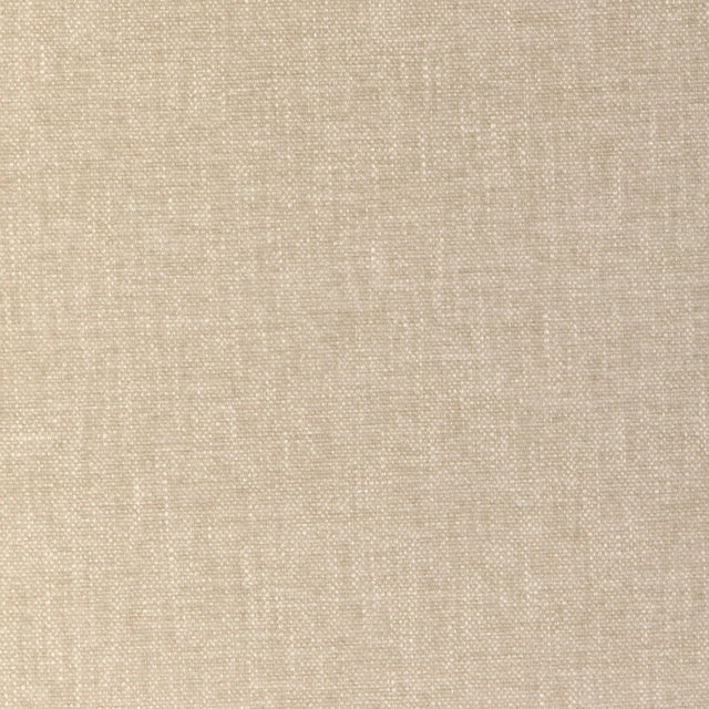 Kravet SMART 36663 1116 Upholstery Fabric