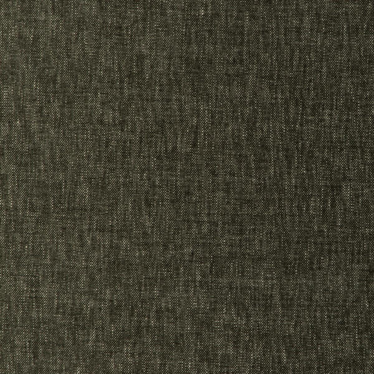 Kravet 36663 36663-53 Fabric