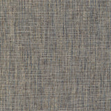 Kravet 36668 36668-316 Fabric