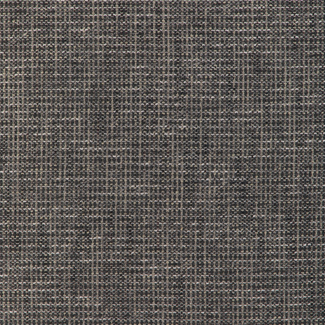 Kravet SMART 36669 1121 Upholstery Fabric