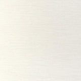 Kravet SURFSIDE CHENILLE PEARL Fabric