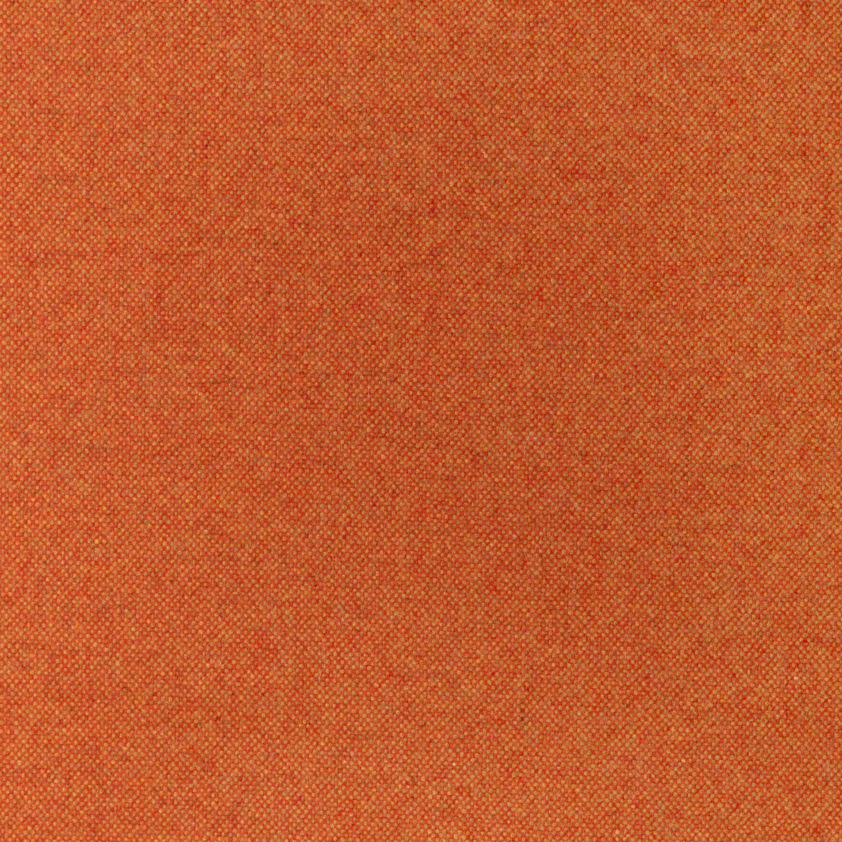 Kravet MANCHESTER WOOL SQUASH Upholstery Fabric