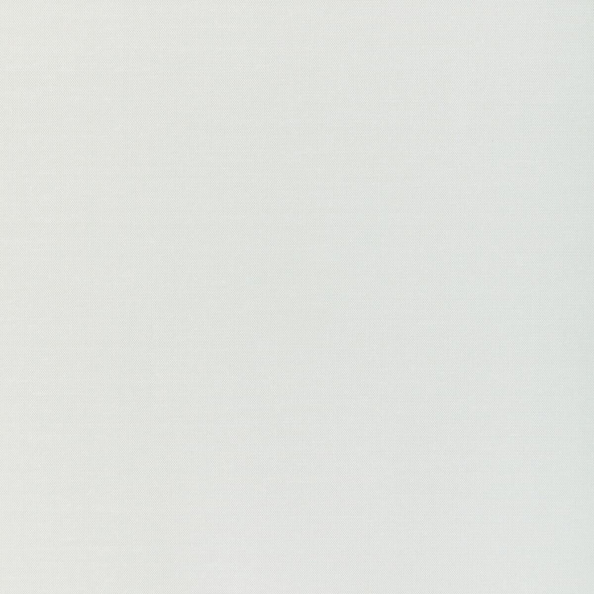 Kravet 4070 4070-51 Fabric