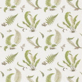 G P & J Baker FERNS EMBROIDERY GREEN Drapery Fabric