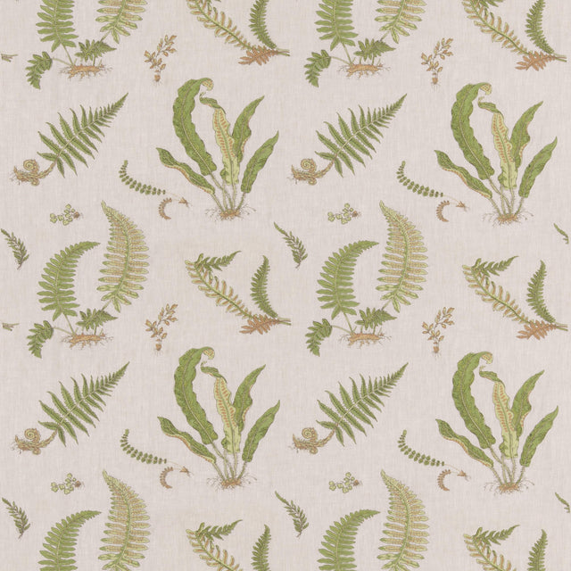 G P & J Baker FERNS EMBROIDERY GREEN/NATURAL Drapery Fabric