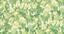 G P & J Baker TROPICAL FLORAL GREEN Wallpaper