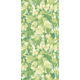 G P & J Baker TROPICAL FLORAL GREEN Wallpaper