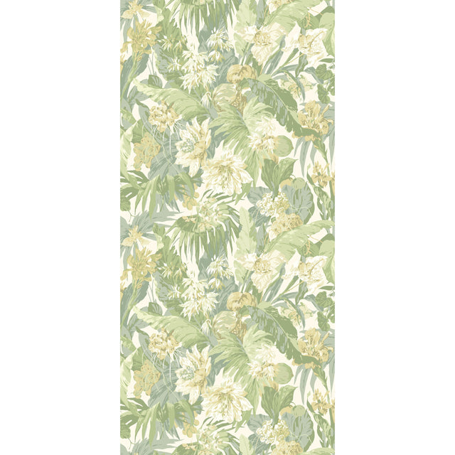 G P & J Baker TROPICAL FLORAL SOFT GREEN Wallpaper