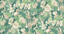 G P & J Baker TROPICAL FLORAL BLUSH/GREEN Wallpaper