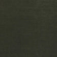 Threads QUINTESSENTIAL VELVET BOTTLE Upholstery Fabric