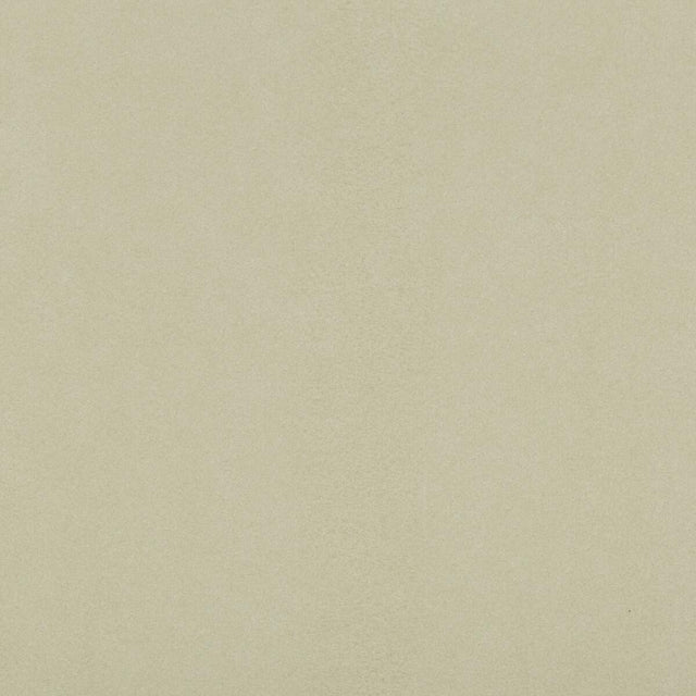 Kravet DESIGN ULTRASUEDE 3602 Upholstery Fabric