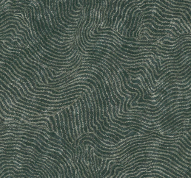Kravet DESIGN W4123 3 Wallpaper