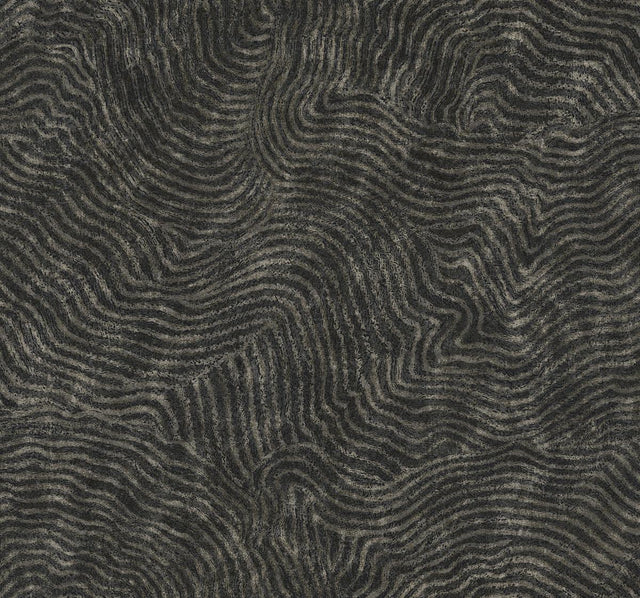 Kravet DESIGN W4123 8 Wallpaper