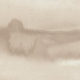 Winfield Thybony SHORELINE SHAKAP Wallpaper