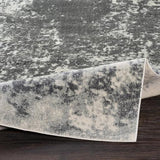 Surya Aberdine ABE-8013 7'10" x 10'6" Rug