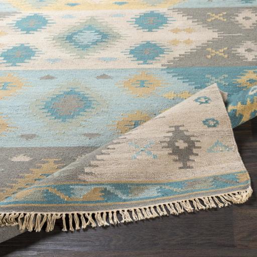 Surya Adia DIA-2003 Beige Blue 2' x 3' Rug