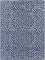 Surya Alameda AMD-1005 8' x 11' Rug