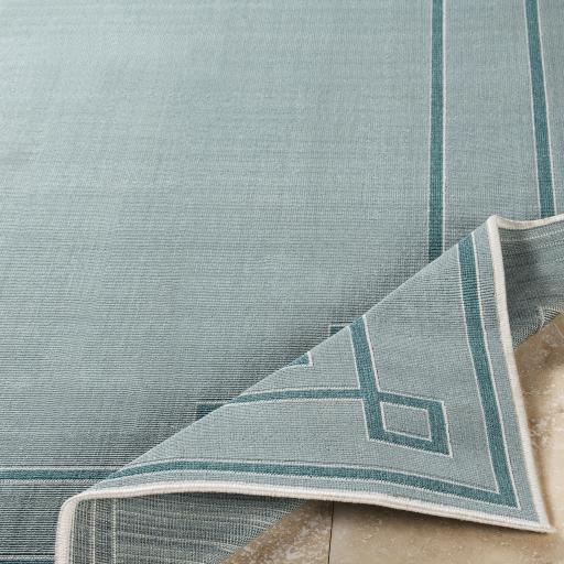 Surya Alfresco ALF-9655 8'10" Square Rug