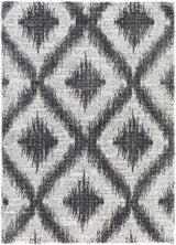 Surya Aliyah Shag ALH-2310 2' x 3' Rug