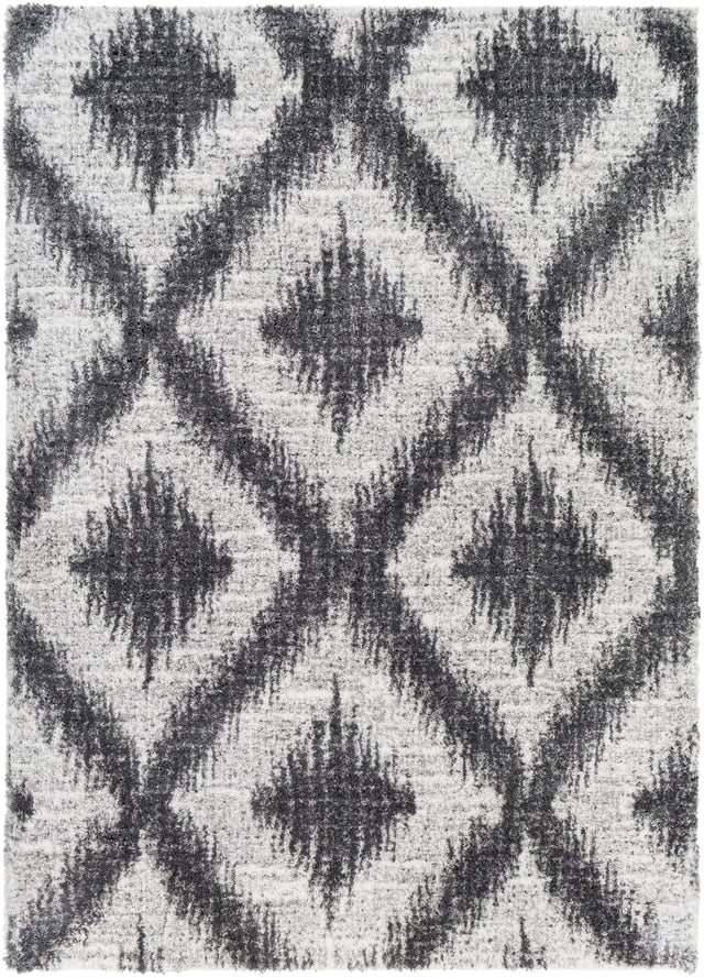 Surya Aliyah Shag ALH-2310 2' x 3' Rug