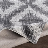 Surya Aliyah Shag ALH-2310 Charcoal Cream 2' x 3' Rug