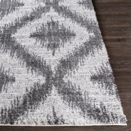 Surya Aliyah Shag ALH-2310 2' x 3' Rug