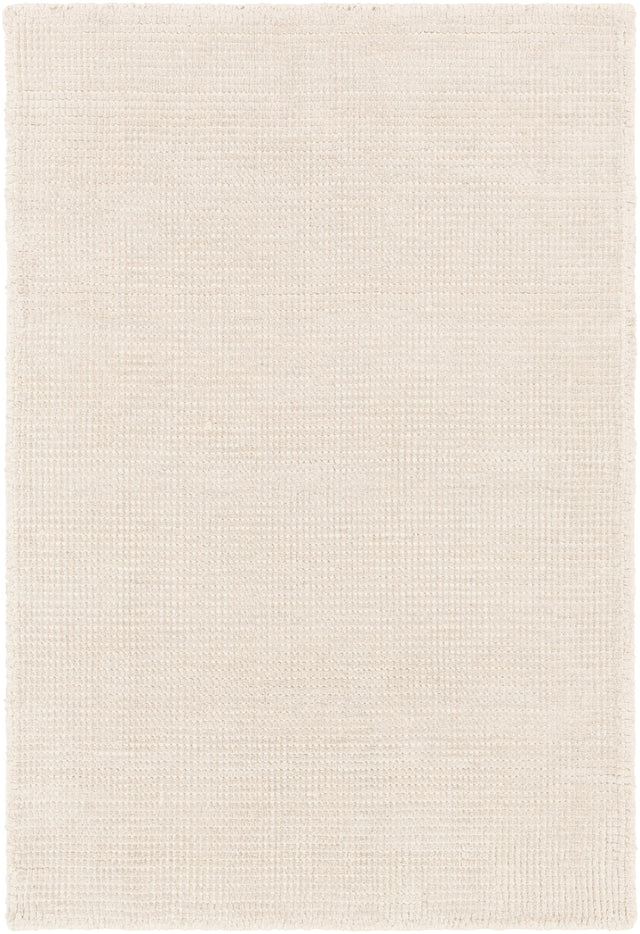Surya Amalfi AMF-2301 2' x 3' Rug
