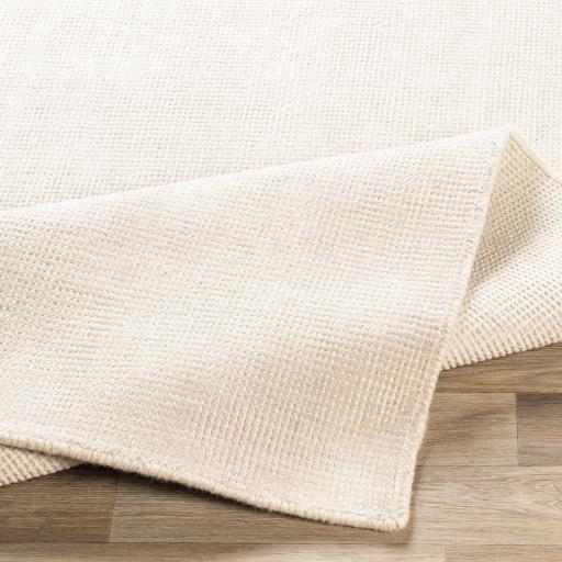 Surya Amalfi AMF-2301 2' x 3' Rug