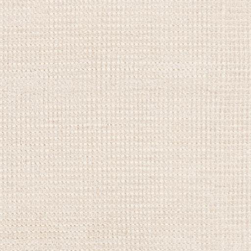 Surya Amalfi AMF-2301 2' x 3' Rug