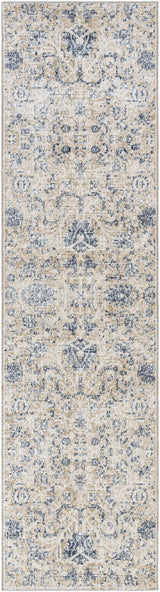 Surya Amore AMO-2307 2'6" x 8' Rug