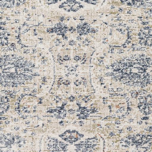 Surya Amore AMO-2307 2'6" x 8' Rug