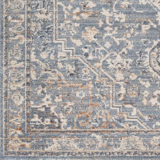 Surya Amore AMO-2328 2' x 3' Rug