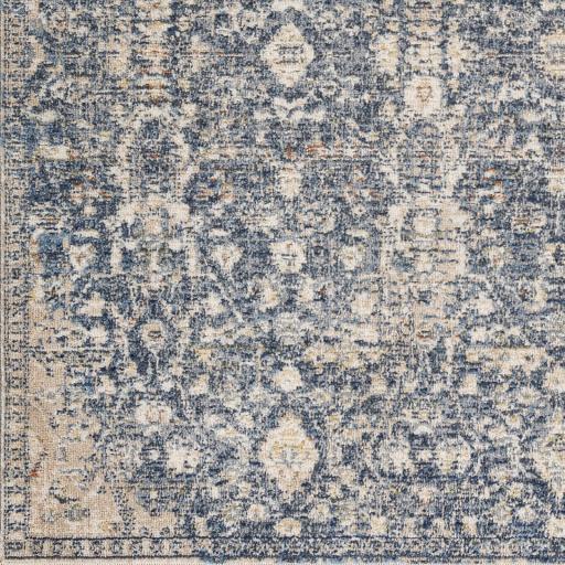 Surya Amore AMO-2332 2' x 3' Rug