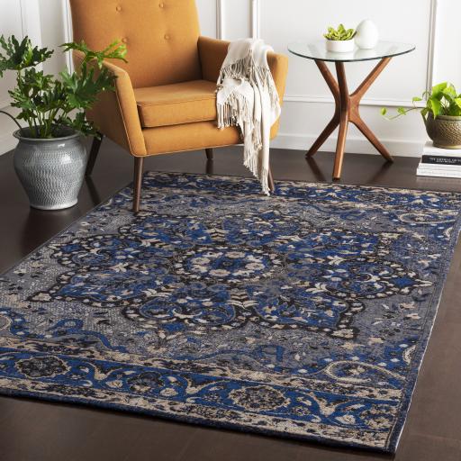 Surya Amsterdam AMS-1017 2' x 3' Rug