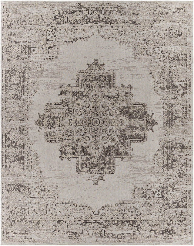 Surya Amsterdam AMS-1023 2' x 3' Rug