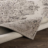 Surya Amsterdam AMS-1023 2' x 3' Rug