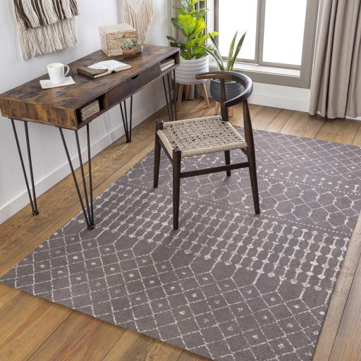 Surya Amsterdam AMS-1026 2' x 3' Rug